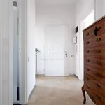 Rent 1 bedroom apartment of 75 m² in Milano