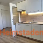 Rent 1 bedroom apartment of 29 m² in Trhový Štěpánov