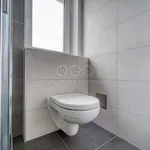 Rent 2 bedroom apartment of 54 m² in Dobřany