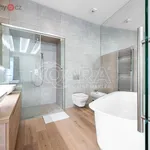 Rent 3 bedroom apartment of 186 m² in Praha