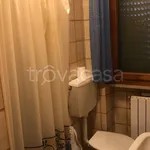 Rent 3 bedroom apartment of 66 m² in Pisa