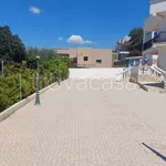 Rent 2 bedroom apartment of 60 m² in Pulsano