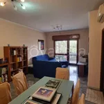 Rent 3 bedroom apartment of 80 m² in Roma