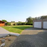 Rent 4 bedroom house of 900 m² in Bellem