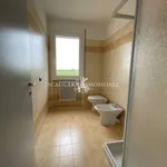 Rent 1 bedroom apartment of 68 m² in San Bonifacio