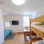 Pronajměte si 1 ložnic/e byt o rozloze 29 m² v Kořenov