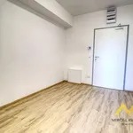 Rent 3 bedroom apartment of 84 m² in Smiřice