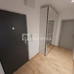 Rent 1 bedroom apartment of 63 m² in Ústí nad Labem