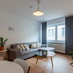 Rent 2 bedroom apartment of 51 m² in Braunschweig