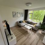 Huur 4 slaapkamer huis van 112 m² in eindhoven