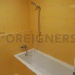 Rent 1 bedroom apartment of 62 m² in Brno