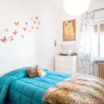 Rent a room of 110 m² in rome