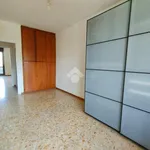 Rent 4 bedroom apartment of 140 m² in Roma