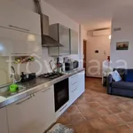 Rent 2 bedroom apartment of 40 m² in Potenza Picena