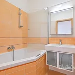 Rent 3 bedroom apartment of 65 m² in Brno