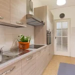 Rent 5 bedroom apartment in Turin