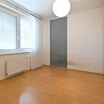 Rent 3 bedroom apartment in Brno