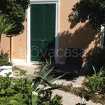 Rent 2 bedroom apartment of 50 m² in Rosignano Marittimo