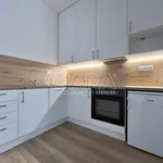 Rent 1 bedroom apartment in Brno