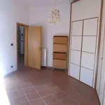 Rent 3 bedroom apartment of 100 m² in Bologna