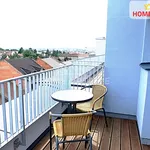 Rent 1 bedroom apartment of 45 m² in Brno