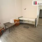 Rent 3 bedroom apartment of 100 m² in Mariánské Lázně