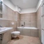 Pronajměte si 2 ložnic/e byt o rozloze 64 m² v Pilsen