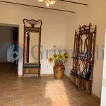 Rent 2 bedroom apartment of 40 m² in Perugia