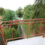 Rent 1 bedroom apartment of 28 m² in Tarnów