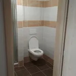 Pronajměte si 1 ložnic/e byt o rozloze 34 m² v Olomouc