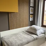 Rent 1 bedroom apartment of 35 m² in Brno