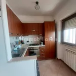 Rent 3 bedroom apartment of 70 m² in Campobasso