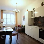 Pronajměte si 1 ložnic/e byt o rozloze 48 m² v Prague