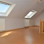 Rent 1 bedroom apartment in Bruges