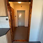 Rent 1 bedroom apartment in Plzeň