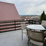 Rent 1 bedroom apartment of 80 m² in stuttgart