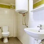 Rent 1 bedroom apartment in Brno