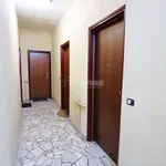 Rent 1 bedroom apartment of 30 m² in Milan