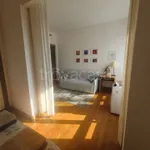 Rent 2 bedroom apartment of 50 m² in Genova