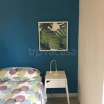 Rent 2 bedroom apartment of 70 m² in Torino