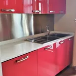 Rent 4 bedroom apartment of 140 m² in Turin