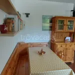 Rent 3 bedroom apartment of 55 m² in Ponte di Legno