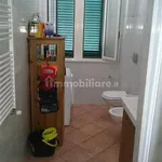 Rent 5 bedroom apartment of 85 m² in Livorno