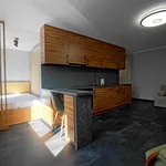 Rent 1 bedroom apartment of 33 m² in Katowice