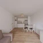 Rent 1 bedroom apartment of 55 m² in porto