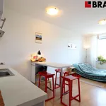 Pronajměte si 1 ložnic/e byt o rozloze 29 m² v Brno