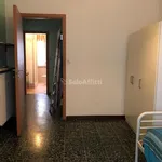 Rent 3 bedroom apartment of 80 m² in torino