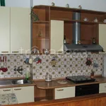 Rent 2 bedroom apartment of 65 m² in Torino