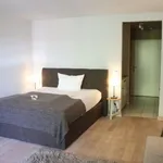 Miete 1 Schlafzimmer wohnung von 35 m² in Frankfurt