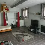 Appartement de 35 m² avec 1 chambre(s) en location à Puiseux-en-France